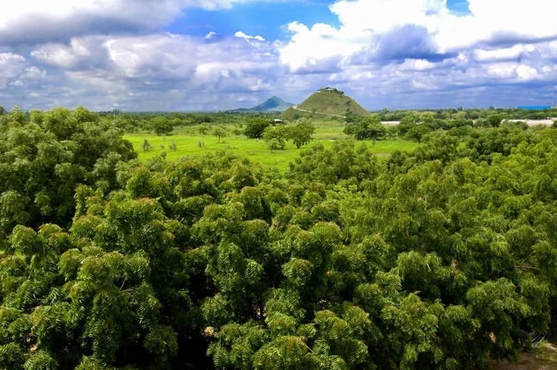 Earthwork and dam building for water harvesting